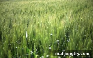 麻将胡了2试玩揭秘：英雄联盟竞猜返水活动全面指南