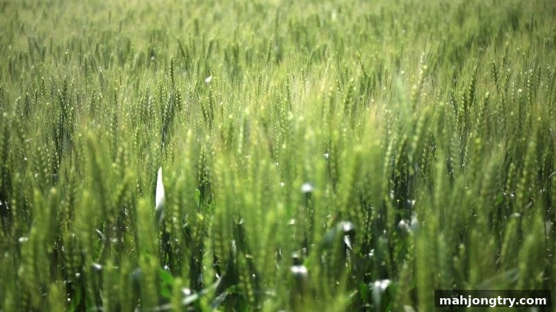麻将胡了2试玩揭秘：英雄联盟竞猜返水活动全面指南