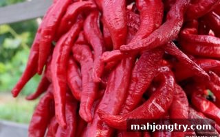 麻将胡了2试玩：每日首次存款返利深度解析与实战指南