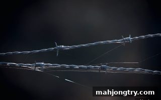 麻将胡了2试玩 | LOL竞技资金安全核心要点全解析